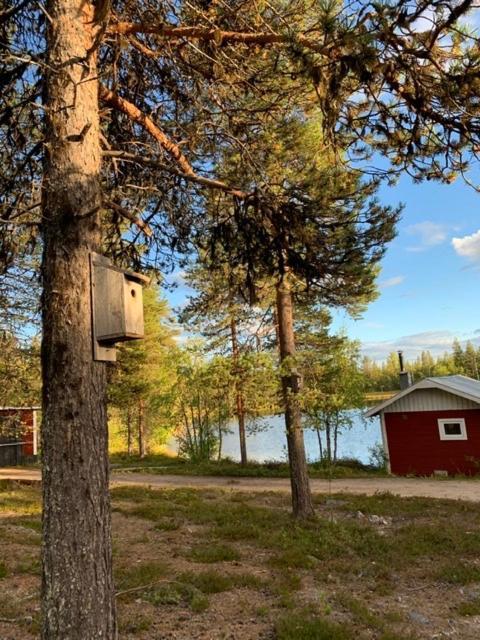 Off-Grid Cabin In Nattavaara Lapland 外观 照片