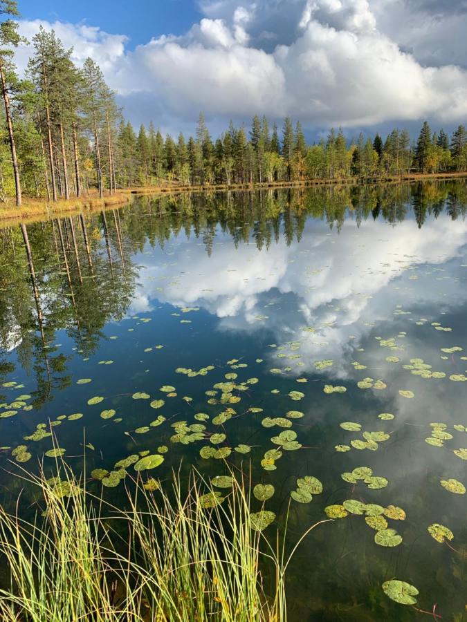 Off-Grid Cabin In Nattavaara Lapland 外观 照片