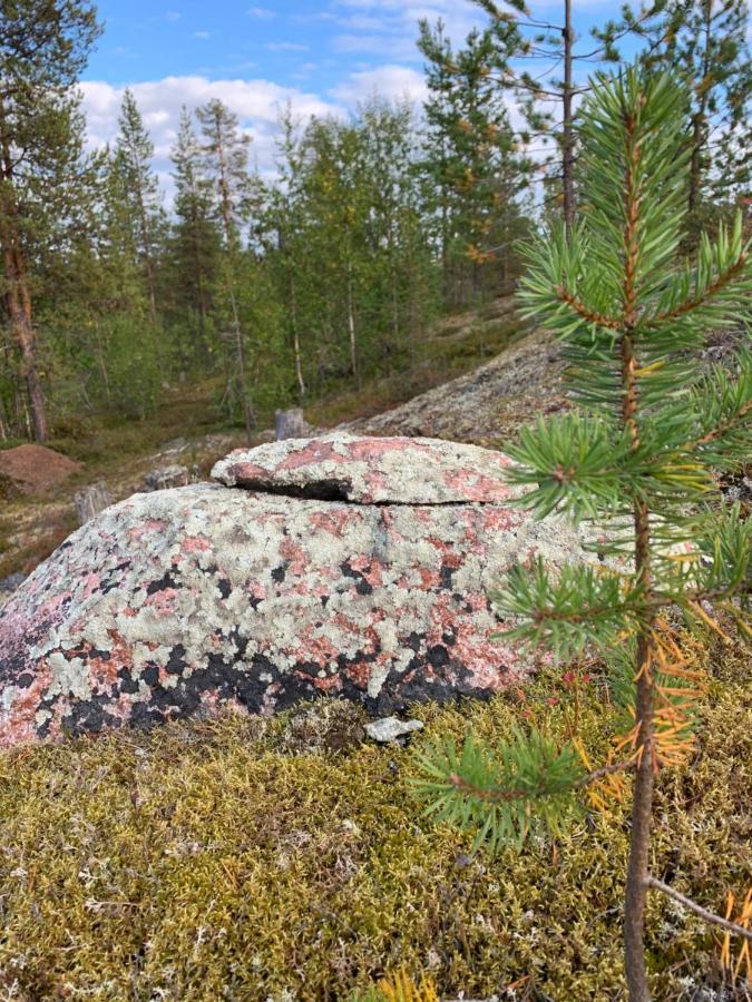Off-Grid Cabin In Nattavaara Lapland 外观 照片