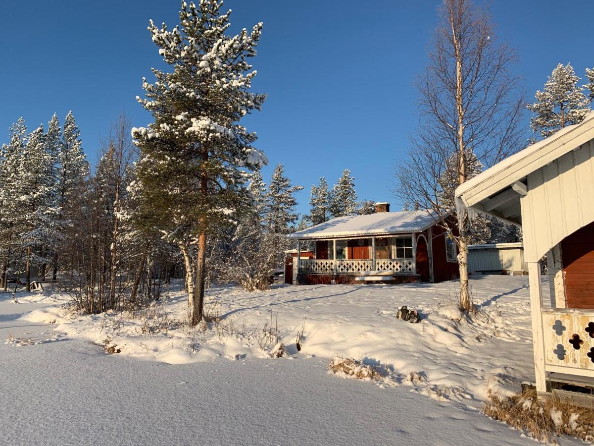 Off-Grid Cabin In Nattavaara Lapland 外观 照片