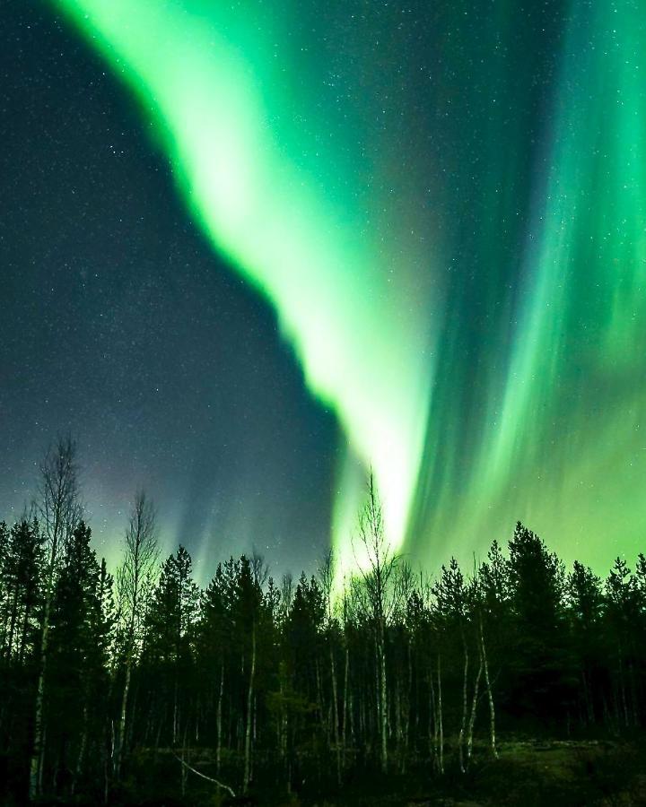 Off-Grid Cabin In Nattavaara Lapland 外观 照片